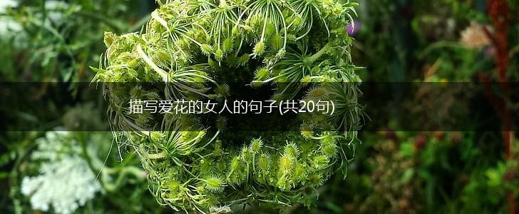 描写爱花的女人的句子(共20句),第1张