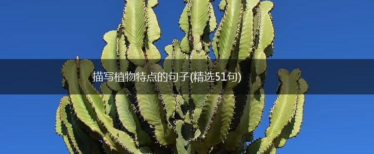 描写植物特点的句子(精选51句),第1张