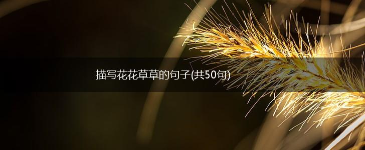 描写花花草草的句子(共50句),第1张