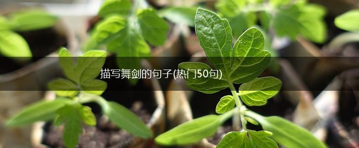 描写舞剑的句子(热门50句),第1张