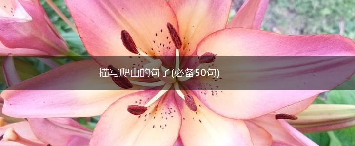 描写爬山的句子(必备50句),第1张