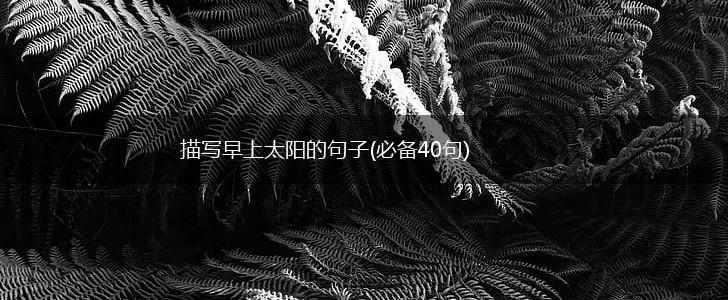 描写早上太阳的句子(必备40句),第1张