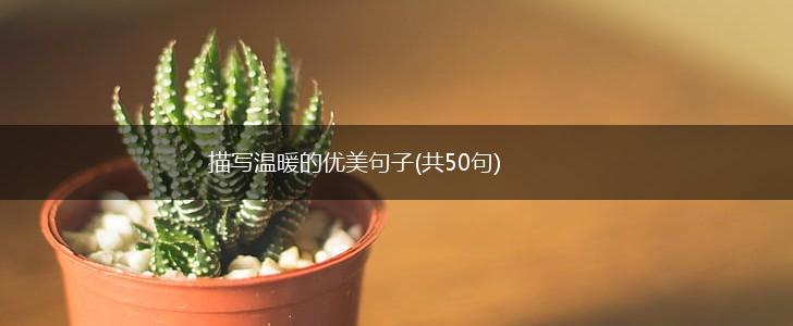 描写温暖的优美句子(共50句),第1张