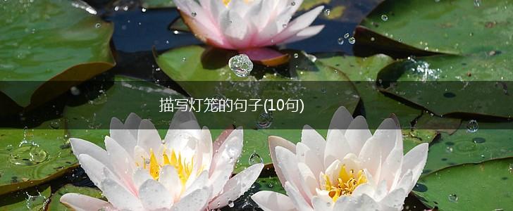 描写灯笼的句子(10句),第1张