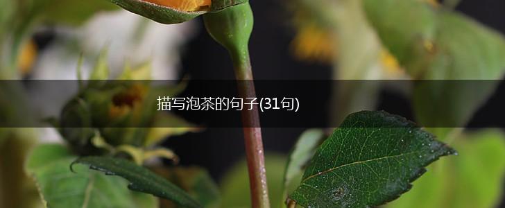 描写泡茶的句子(31句),第1张