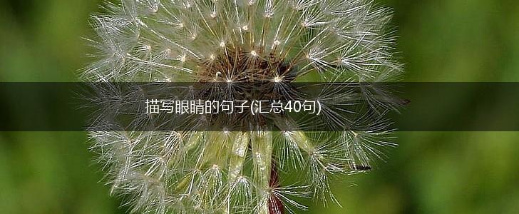 描写眼睛的句子(汇总40句),第1张