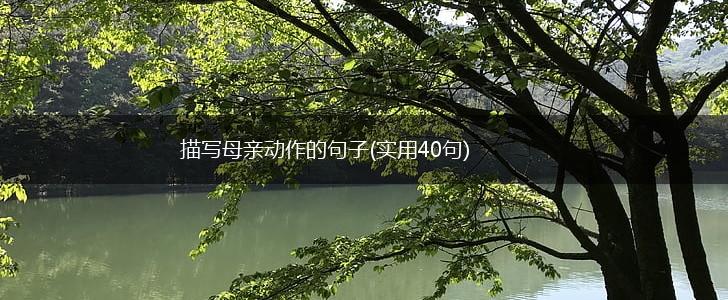 描写母亲动作的句子(实用40句),第1张
