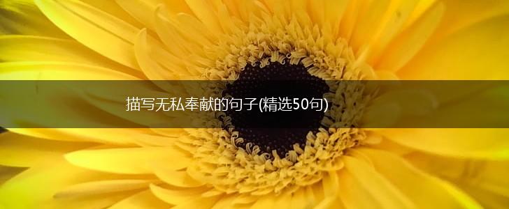 描写无私奉献的句子(精选50句),第1张