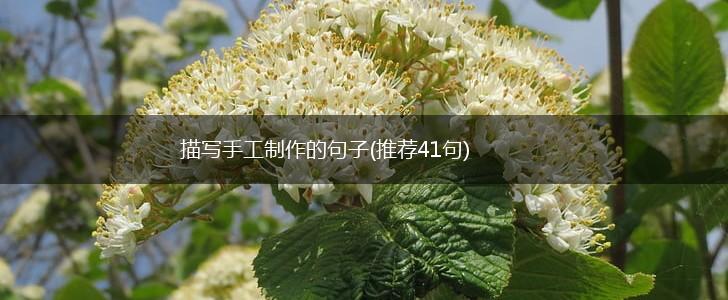 描写手工制作的句子(推荐41句),第1张