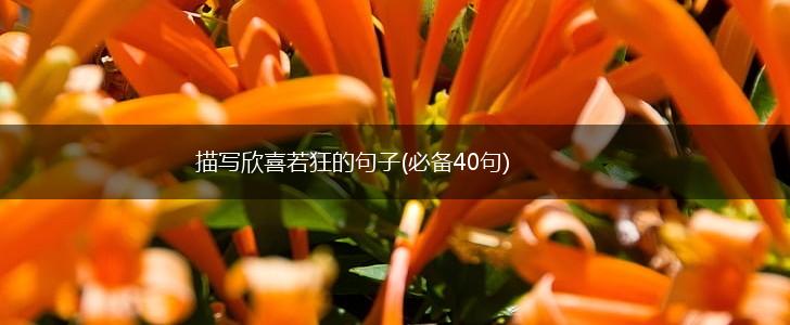 描写欣喜若狂的句子(必备40句),第1张