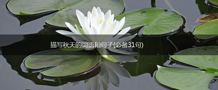 描写秋天的词语和句子(必备31句),第1张