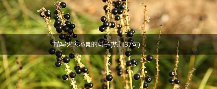 描写火灾场景的句子(热门37句),第1张