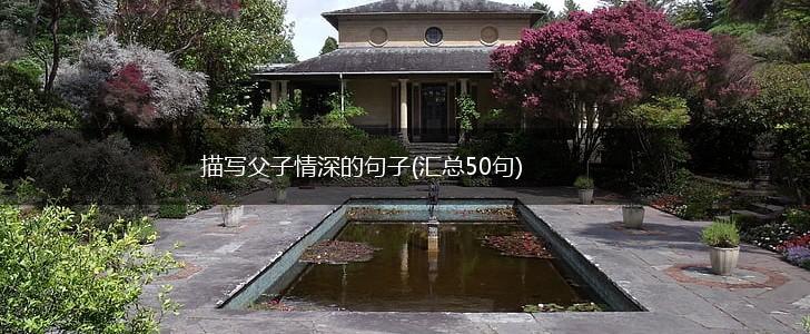 描写父子情深的句子(汇总50句),第1张