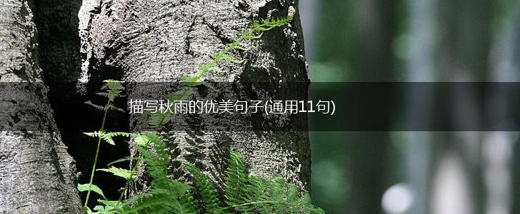 描写秋雨的优美句子(通用11句),第1张