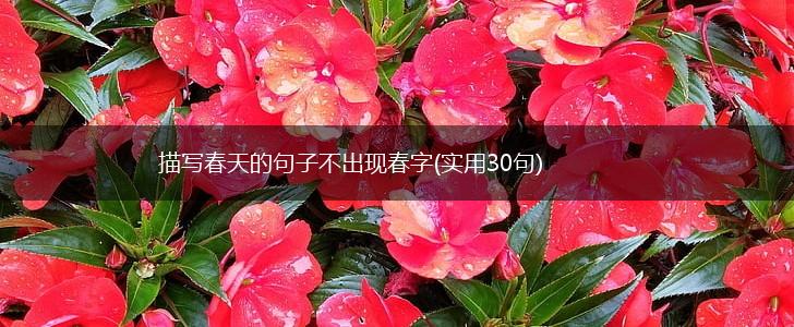 描写春天的句子不出现春字(实用30句),第1张
