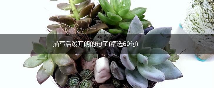 描写活泼开朗的句子(精选60句),第1张
