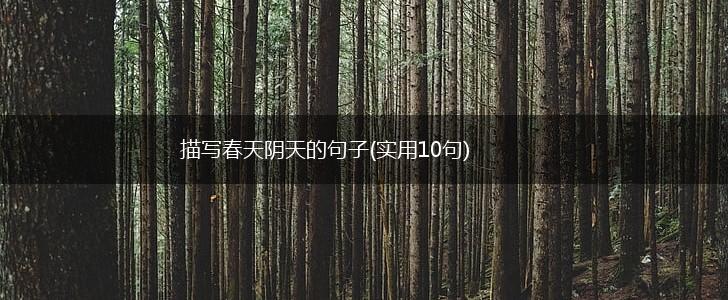 描写春天阴天的句子(实用10句),第1张