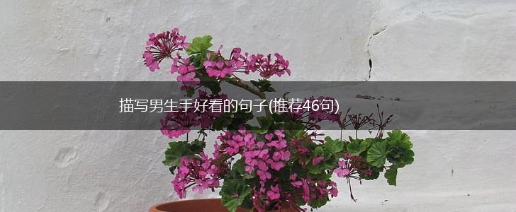 描写男生手好看的句子(推荐46句),第1张