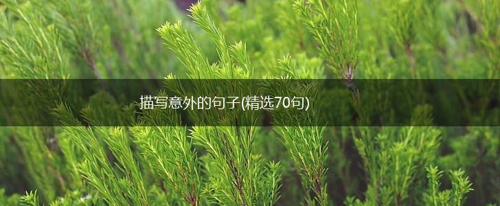 描写意外的句子(精选70句),第1张