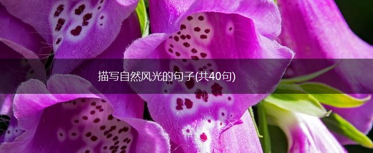 描写自然风光的句子(共40句),第1张
