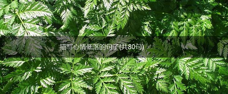 描写心情低落的句子(共80句),第1张
