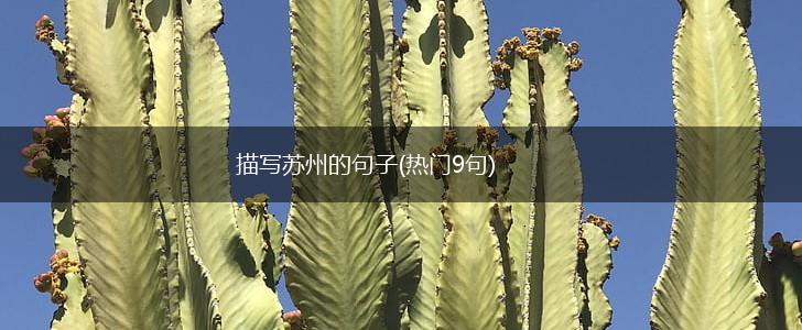 描写苏州的句子(热门9句),第1张