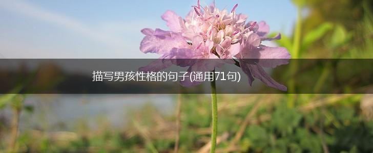 描写男孩性格的句子(通用71句),第1张