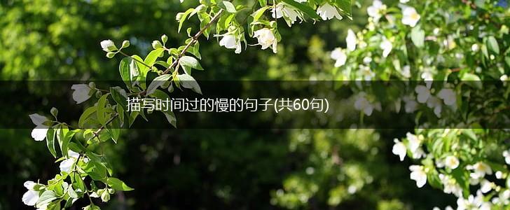 描写时间过的慢的句子(共60句),第1张