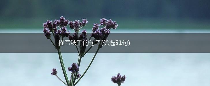 描写秋千的句子(优选51句),第1张