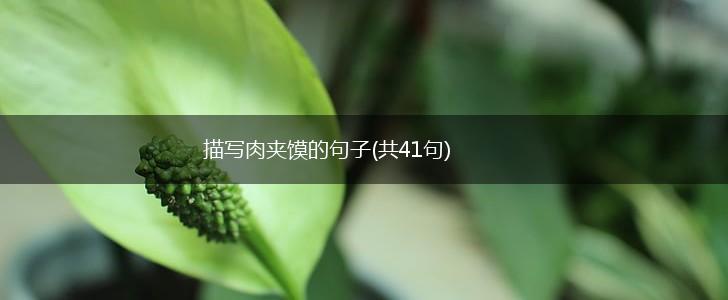 描写肉夹馍的句子(共41句),第1张