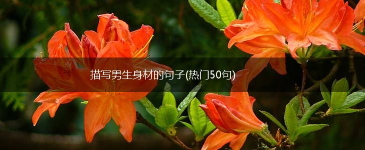 描写男生身材的句子(热门50句),第1张