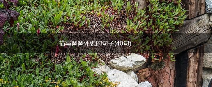 描写爸爸外貌的句子(40句),第1张