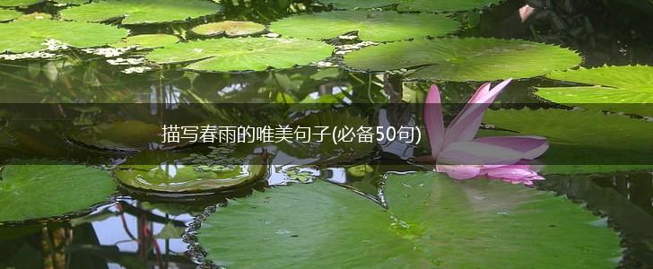 描写春雨的唯美句子(必备50句),第1张