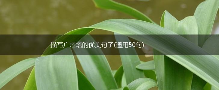 描写广州塔的优美句子(通用50句),第1张