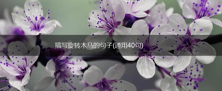 描写旋转木马的句子(通用40句),第1张