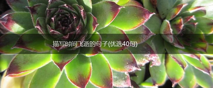 描写时间飞逝的句子(优选40句),第1张