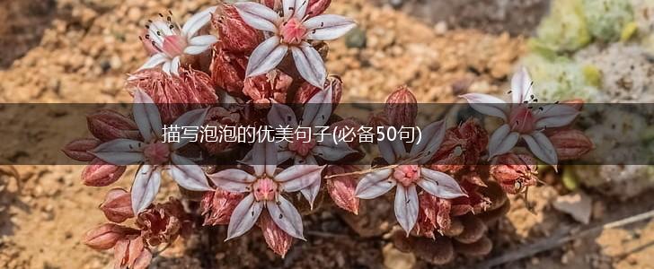 描写泡泡的优美句子(必备50句),第1张
