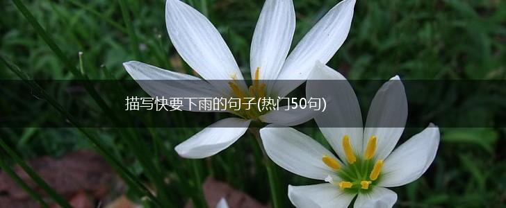 描写快要下雨的句子(热门50句),第1张