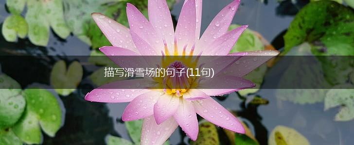 描写滑雪场的句子(11句),第1张