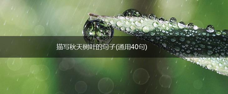 描写秋天树叶的句子(通用40句),第1张