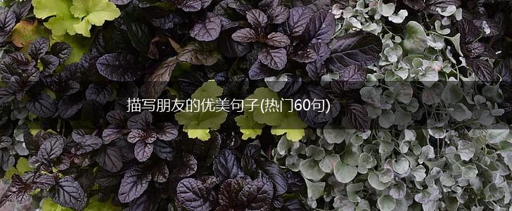 描写朋友的优美句子(热门60句),第1张