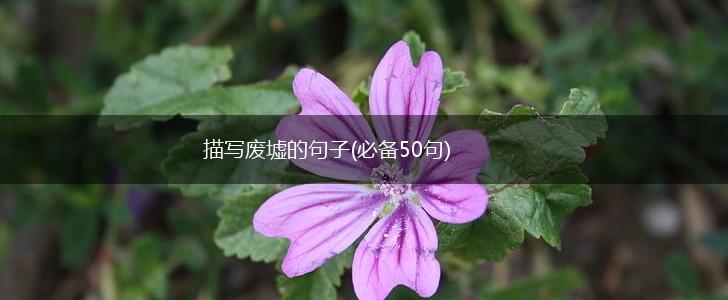 描写废墟的句子(必备50句),第1张