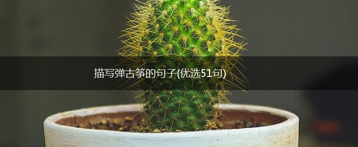 描写弹古筝的句子(优选51句),第1张