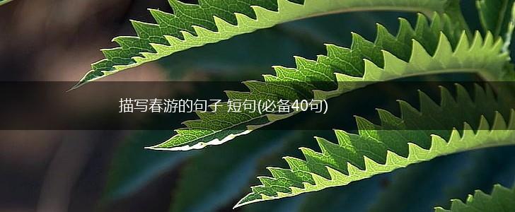 描写春游的句子 短句(必备40句),第1张