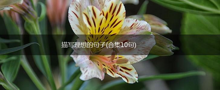 描写理想的句子(合集10句),第1张