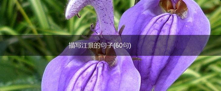 描写江景的句子(60句),第1张