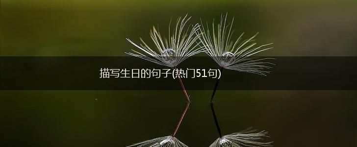 描写生日的句子(热门51句),第1张
