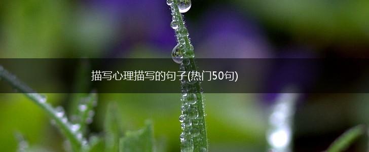 描写心理描写的句子(热门50句),第1张