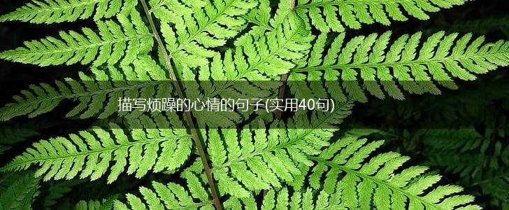 描写烦躁的心情的句子(实用40句),第1张