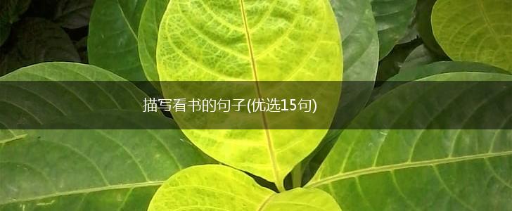 描写看书的句子(优选15句),第1张